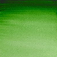 Winsor & Newton Professional Watercolour 5ml Tube Hooker's Green Series 1
