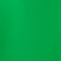 Winsor & Newton Designers Gouache 14ml Permanent Green Light Series 2