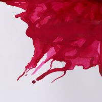 Winsor & Newton Drawing Ink 14ml Crimson