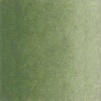 Sennelier Artists Watercolour Half Pan Chromium Oxide Green Series 3