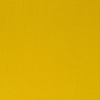 Winsor & Newton Professional Acrylic 60ml Azo Yellow Medium S2