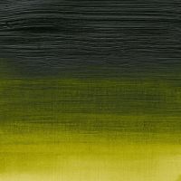 Winsor & Newton Professional Acrylic 60ml Permanent Sap Green S3
