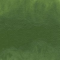 Williamsburg Artists Oil Colour 37ml Chromium Oxide Green S3