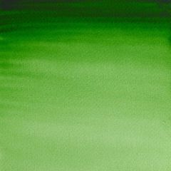 Winsor & Newton Professional Artist Watercolour Half Pan Hooker's Green Series 1