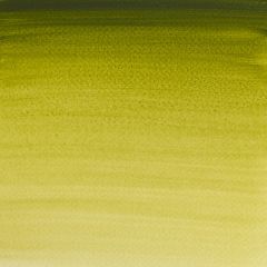 Winsor & Newton Professional Artist Watercolour Half Pan Olive Green Series 1