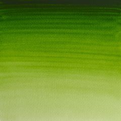 Winsor & Newton Professional Artist Watercolour Half Pan Permanent Sap Green Series 1