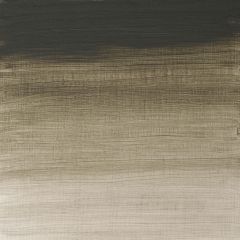 Winsor & Newton Artist Oil 37ml Davy's Gray S2