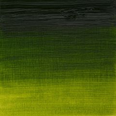 Winsor & Newton Artist Oil 37ml Sap Green S2