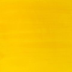 Winsor & Newton Galeria Acrylic Paint 120ml Cadmium Yellow Medium Hue