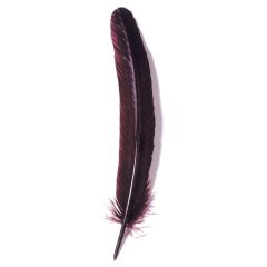 Traditional Burgundy Colour Goose Quill Dip Pen