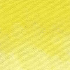 Williamsburg Artists Oil Colour 37ml Permanent Yellow Light S3