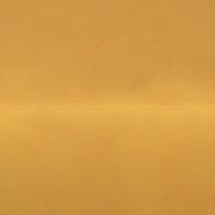Golden Fluid Artists Acrylic 30ml Iridescent Gold Fine S6
