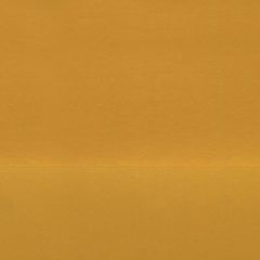 Golden Fluid Artists Acrylic 30ml Iridescent Bright Gold Fine S7