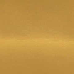 Golden Fluid Artists Acrylic 30ml Iridescent Gold Deep Fine S7