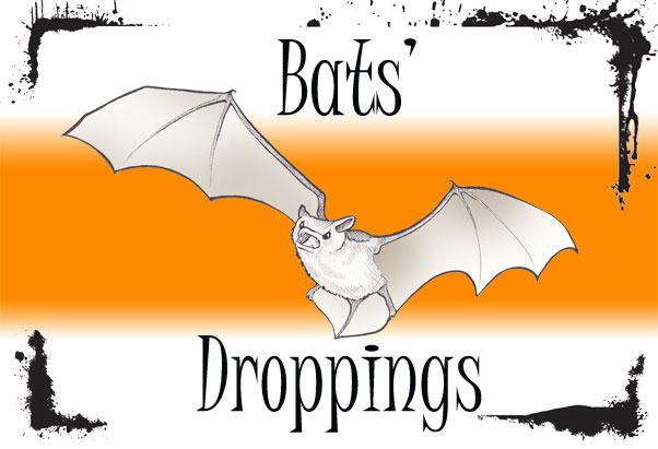 Bats' Droppings