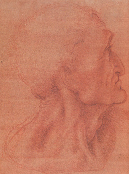 Head of an Apostle by Leonardo Da Vinci